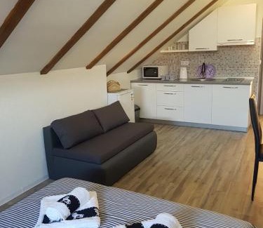 Smoljanac House | Discover Studio Apartmani Patricia: 4-Star Family Retreat