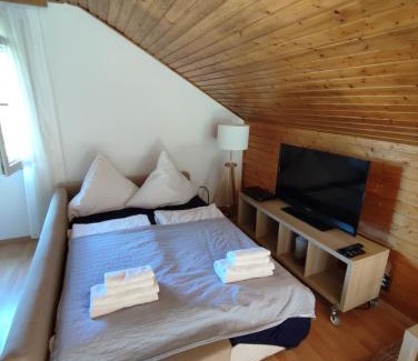 Bermatingen Apartment | Cozy Studio Apartment with Breakfast & Child-Friendly Amenities
