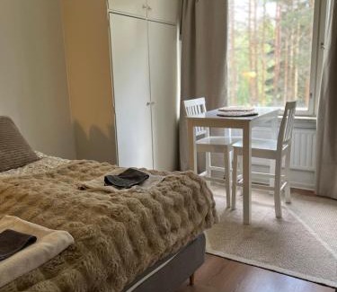 Rovaniemi Apartment | Studio Apartment