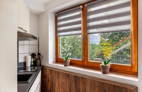 Westendorf Apartment | Inviting Studio Apartment "Haus Auner Top 5b" with Terrace