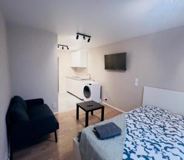 Vilnius city municipality Apartment | studio apartment