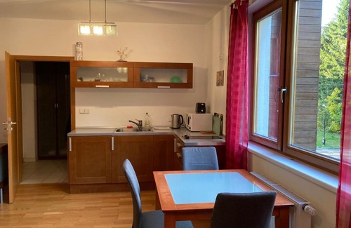 Spindleruv Mlyn Apartment | Pet-Friendly Studio Apartment Michael with Ocean View