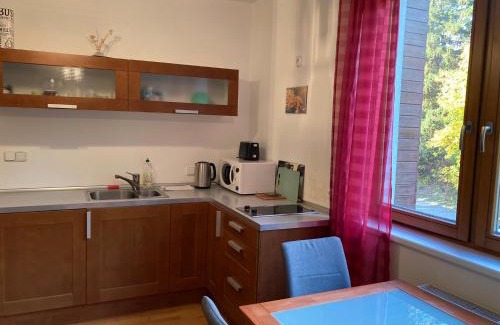Spindleruv Mlyn Apartment | Pet-Friendly Studio Apartment Michael with Ocean View