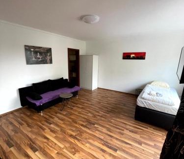 Neumuenster Apartment | Bright Studio Apartment with Balcony & Hot Tub Amenities