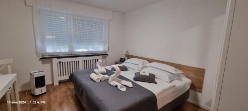 Oberesslingen Apartment | Convenient Studio Apartment Near S-Bahn - Rated 9.2/10
