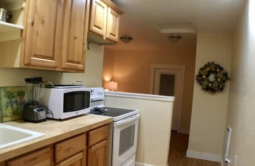 Burley Apartment | Cozy Studio Apartment with Kitchen and Queen Bed Awaits