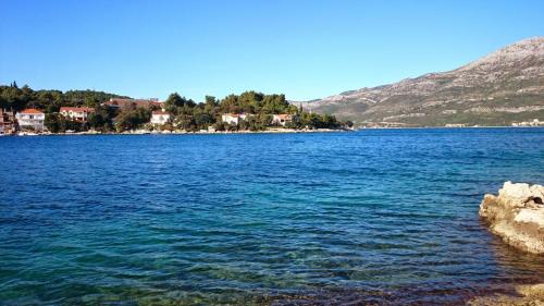 Cove Tri Zala (Zrnovo) Apartment | Discover Studio Apartments with Ocean Views and Pet-Friendly Amenities