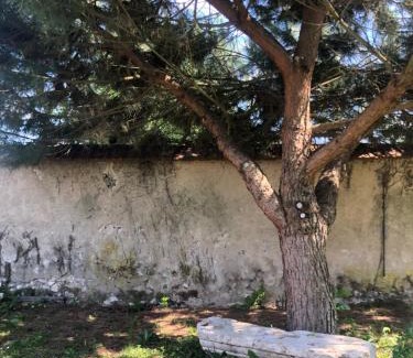 Nouan-sur-Loire Apartment | Quiet Studio Near Chambord - Rated 9/10, Great for Families