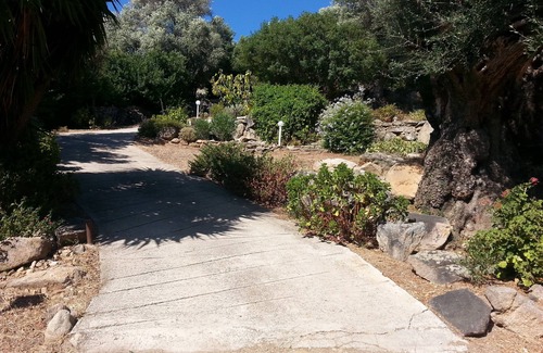 Lumio Apartment | Tranquil Studio with Bay Views in Calvi's Olive Grove