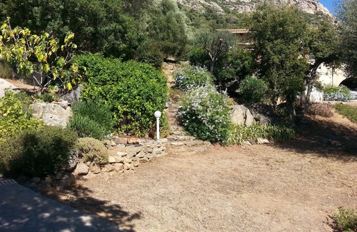 Lumio Apartment | Tranquil Studio with Bay Views in Calvi's Olive Grove