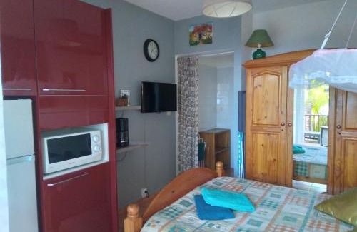 Les Avirons Apartment | Cozy Studio aux AVIRONS for Two with Pool & Ocean Views