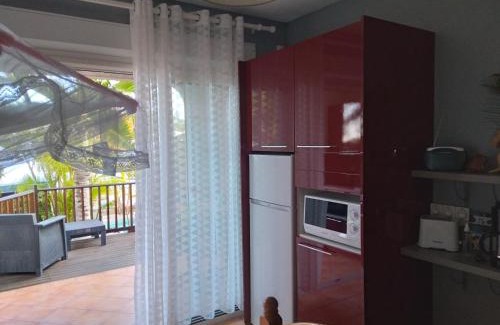 Les Avirons Apartment | Cozy Studio aux AVIRONS for Two with Pool & Ocean Views