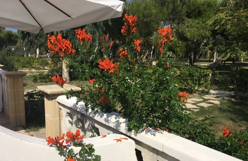 Chiesiola Apartment | Studio 'Baia Falcone-Comfort Studio 205' with sea view, Wi-Fi and air conditioning