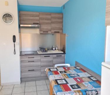 Balaruc-les-Bains Apartment | Pet-Friendly Studio Balaruc les Bains with Views of Thau