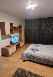 Singeorgiu de Mures Apartment | Guest Rated 10/10: Family-Friendly Studio BDN Awaits