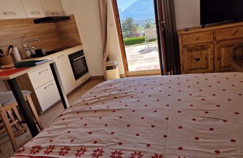 Poisy Apartment | Independently Renovated Studio Bellevue with Pool & Parking
