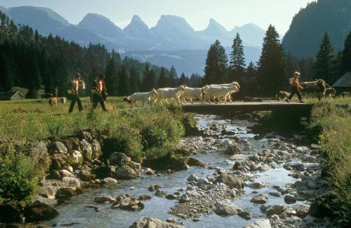 Wildhaus-Alt St. Johann Apartment | Stunning Studio Bijou: 4-Star Pet-Friendly Retreat