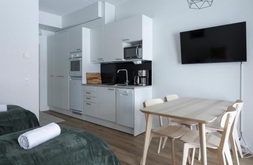 Pohjoinen Suurpiiri Apartment | Pet-Friendly Studio Brita: Guest Rated 9.6/10