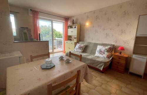 Saint-Cyprien Plage Apartment | Pet and Child Friendly Studio Cabine in Saint-Cyprien