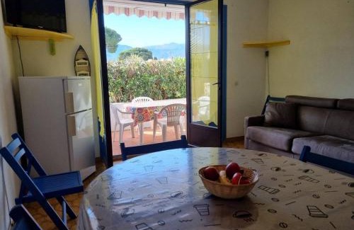 Argeles Plage Apartment | Exceptional Studio Cabine with Terrace, 300m to Beach