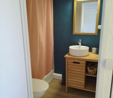 Saint-Cyprien Plage Apartment | Pet-Friendly Studio Cabine: Ideal for Families and Pets