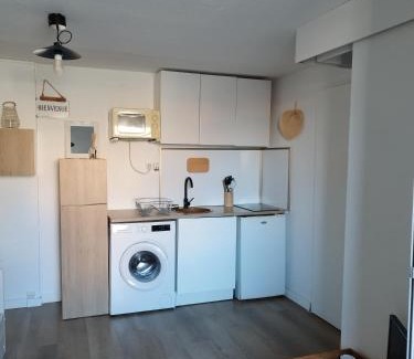 Saint-Cyprien Plage Apartment | Pet-Friendly Studio Cabine: Ideal for Families and Pets