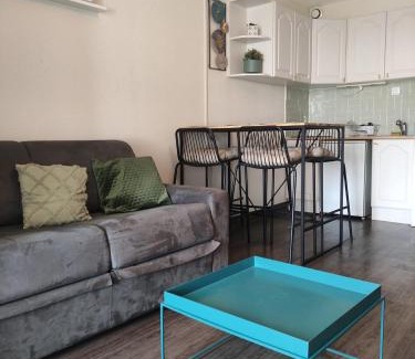 Le Barcares Apartment | Oceanview Studio Cabine with Beach Access - Book Your Stay!
