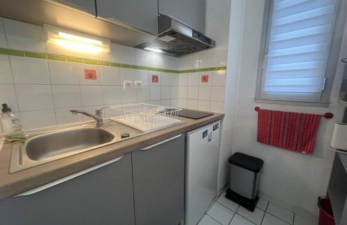 Saint-Cyprien Plage Apartment | Cozy Appart Studio Cabine near Saint Cyprien Plage