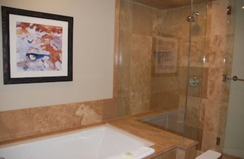 Aspen Apartment | Ideal Studio Condo with Pool in Aspen's Heart
