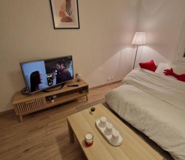Fleury-les-Aubrais Apartment | Comfortable Studio Retreat - Guest Rated 9/10