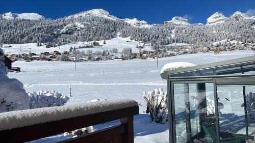 Leysin Apartment | Pet-Friendly Chalet d'Ayral with Private Garden Retreat