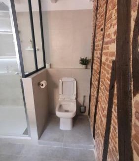 Verfeil Apartment | Studio de charme 70m2, Jacuzzi et Piscine Partagée
