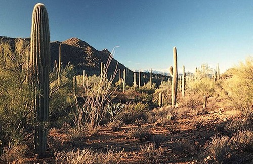 Tucson Estates Apartment | Ultimate Hot Tub Retreat at Alma Del Sol - 10/10 Rated