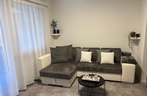 Ascona Apartment | Discover Studio di Martino: Pet & Child-Friendly Retreat