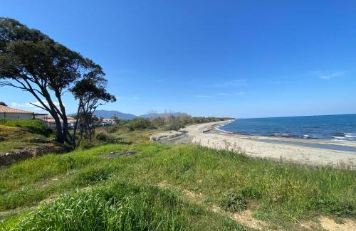 Bravone Apartment | Oceanfront Studio at Costa Serena N54 with Private Beach