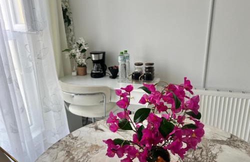 Brasov Apartment | Studio Factory 22