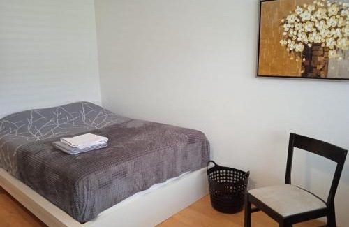 Zug Apartment | Cozy Studio Flat in Zug for Solo Travellers - 8/10 Rated