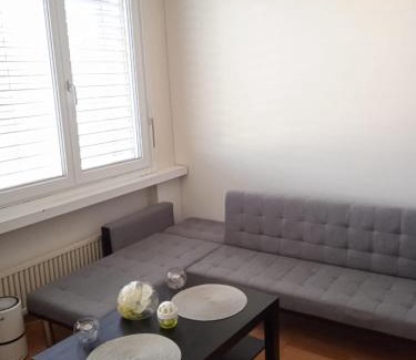 Zug Apartment | Cozy Studio Flat in Zug for Solo Travellers - 8/10 Rated