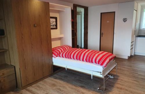 Emmetten Apartment | Scenic Elfe Apartments: Studio with Balcony & Panoramic Views
