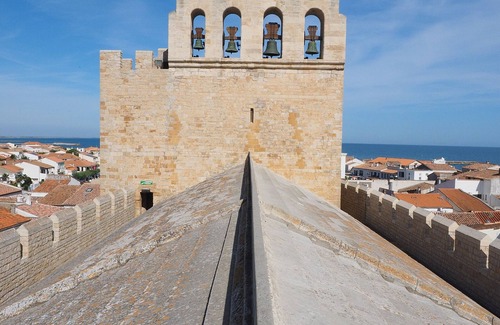 Saintes-Maries-de-la-Mer Apartment | Studio for 3 near sea with parking and air conditioning