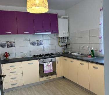 Hunedoara Apartment | Exceptional Studio G&A 2: Pet-Friendly & Family Approved