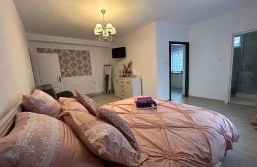 Hunedoara Apartment | Exceptional Studio G&A 2: Pet-Friendly & Family Approved