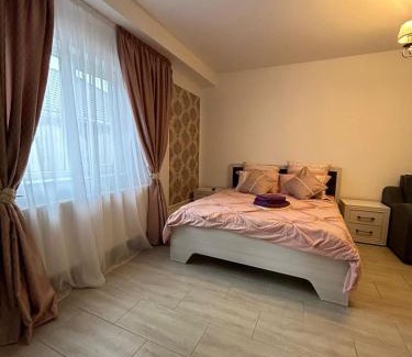 Hunedoara Apartment | Exceptional Studio G&A 2: Pet-Friendly & Family Approved