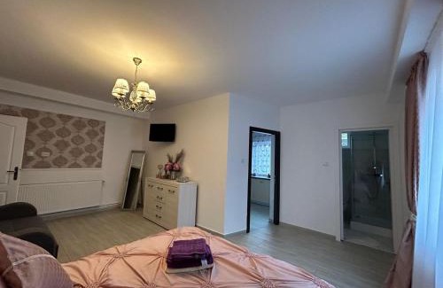 Hunedoara Apartment | Exceptional Studio G&A 2: Pet-Friendly & Family Approved