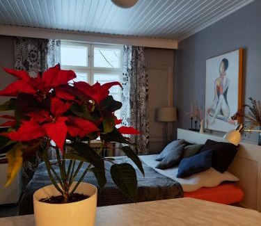 Kallio Apartment | Charming Studio in Kallio - Pet and Child Friendly Stay