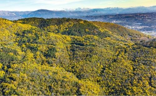 Pegomas Apartment | Charming Studio in a Provençal Mas - Rated 9/10, Child Friendly