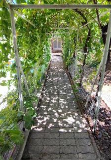 Toulon Bed & Breakfast | Independently Yours: Guest Rated 10/10 with Pool Access