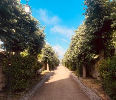 Fontevraud-l'Abbaye Apartment | Pet-Friendly Studio la Grange with Complimentary Breakfast