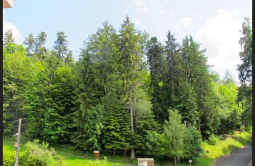 Le Hohwald Apartment | Highly Rated Studio Le Manet for Your Perfect Getaway