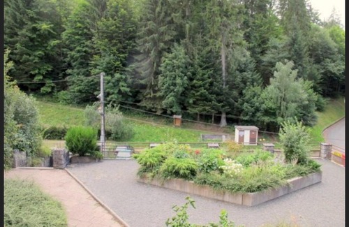Le Hohwald Apartment | Highly Rated Studio Le Manet for Your Perfect Getaway